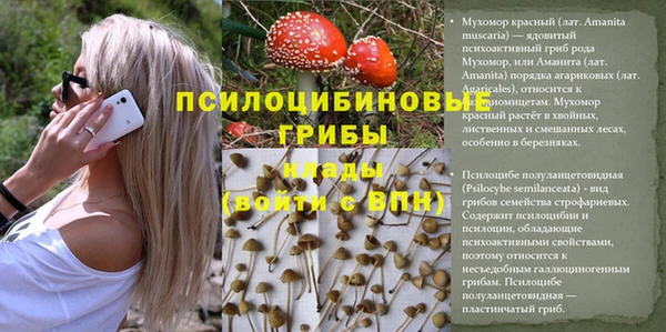 МДПВ Абаза